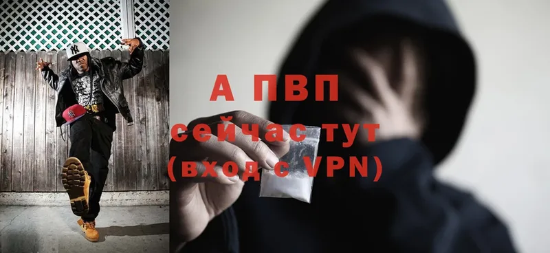 A PVP СК КРИС Прокопьевск