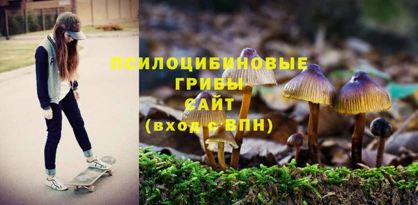 молекула духа Михайлов