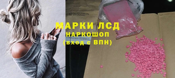 молекула духа Михайлов