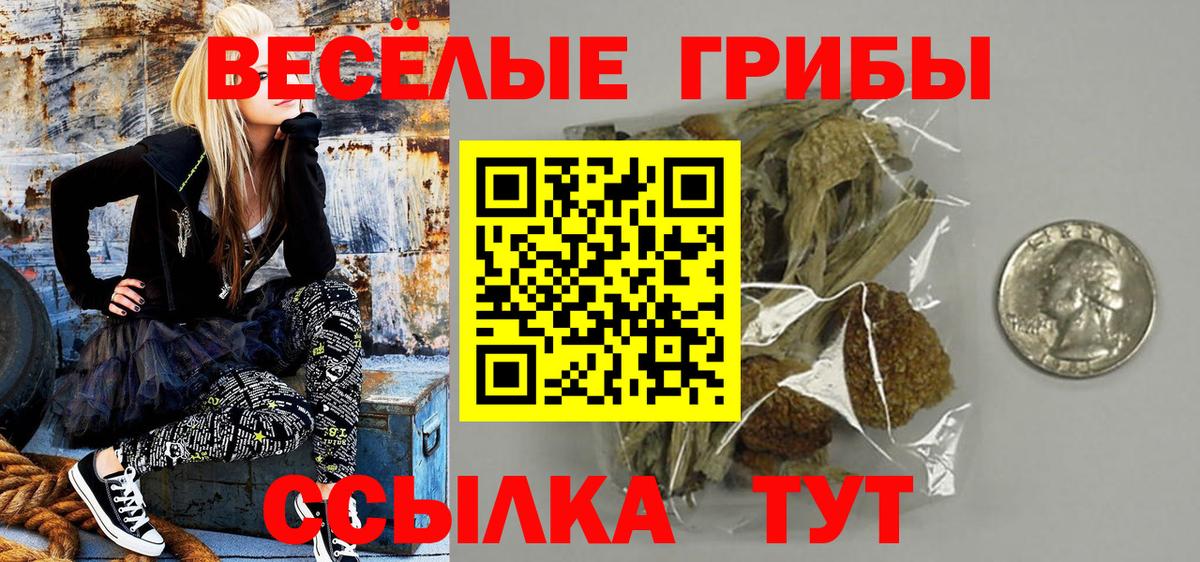Псилоцибиновые грибы Psilocybe  купить наркотик  Прокопьевск 